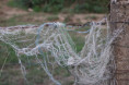 /album/rando-nocturne-16-09-26/randonnee-nocturne-4-jpg/